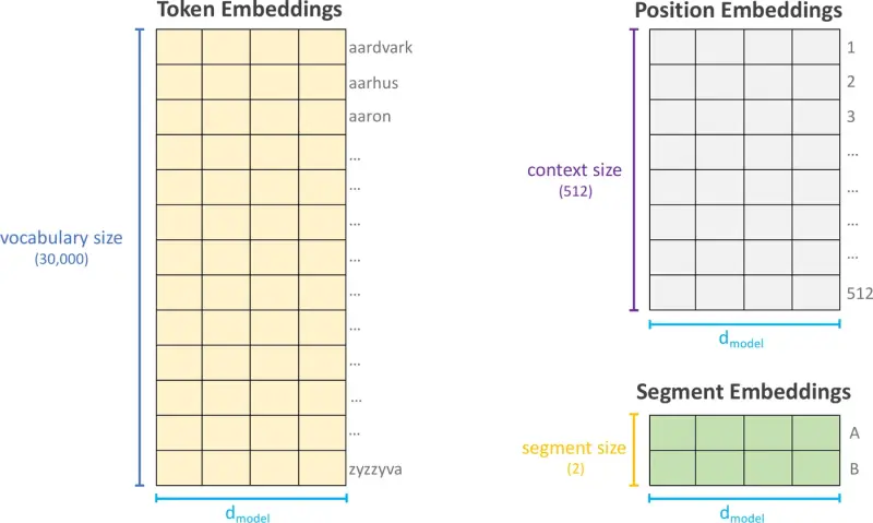 Parameters of BERT's input embedding layer