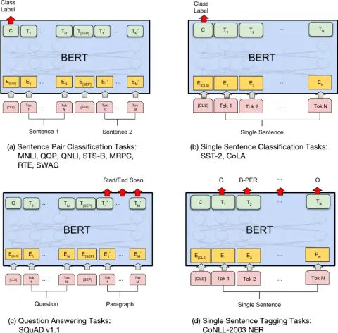 Fine-tuning BERT for different downstream tasks