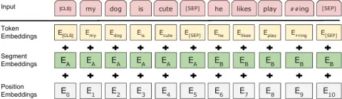 BERT token, segment, and position input embeddings