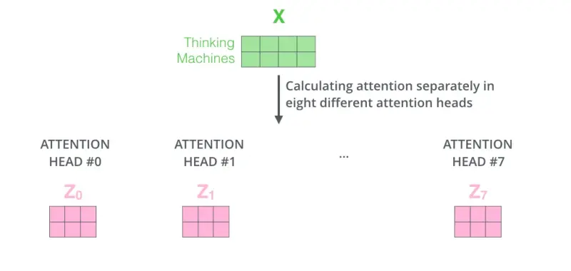 Computation of multiple attention heads