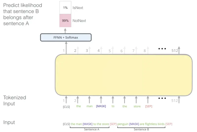 BERT next sentence prediction training objective