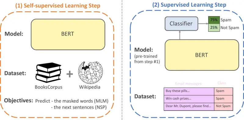 BERT pre-training and fine-tuning learning steps