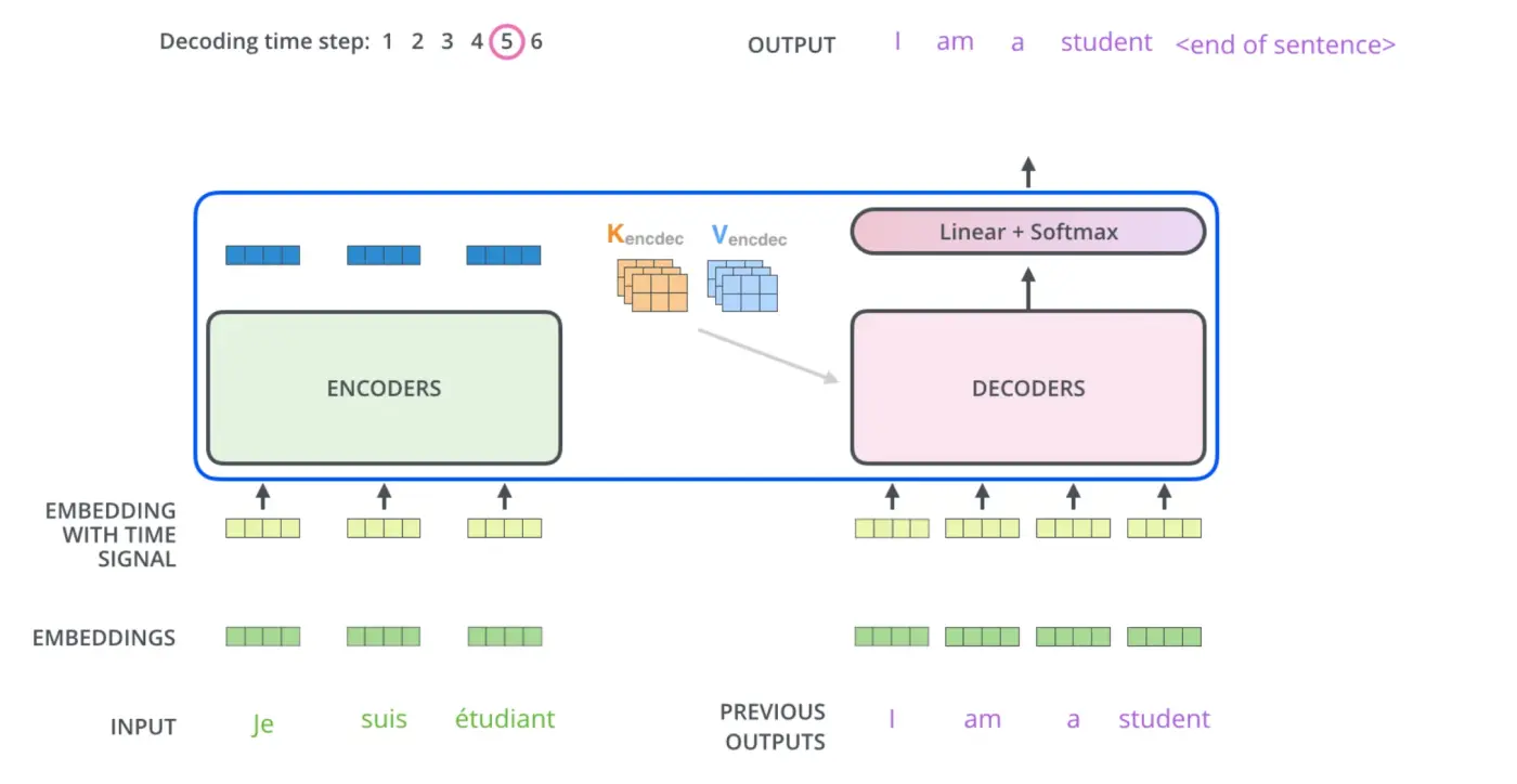 Successive decoder steps producing an output sentence