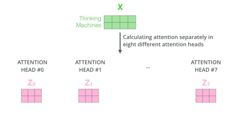 Eight output matrices produced by eight attention heads