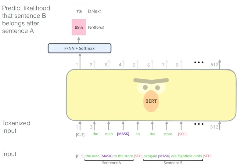 BERT predicting whether one sentence follows another