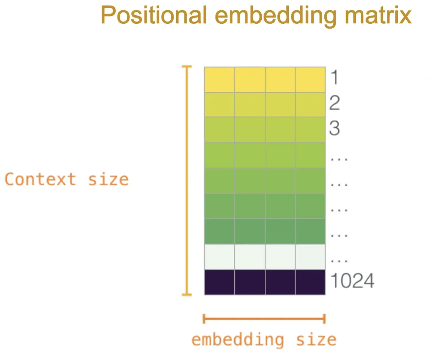 Addition of token and positional embeddings