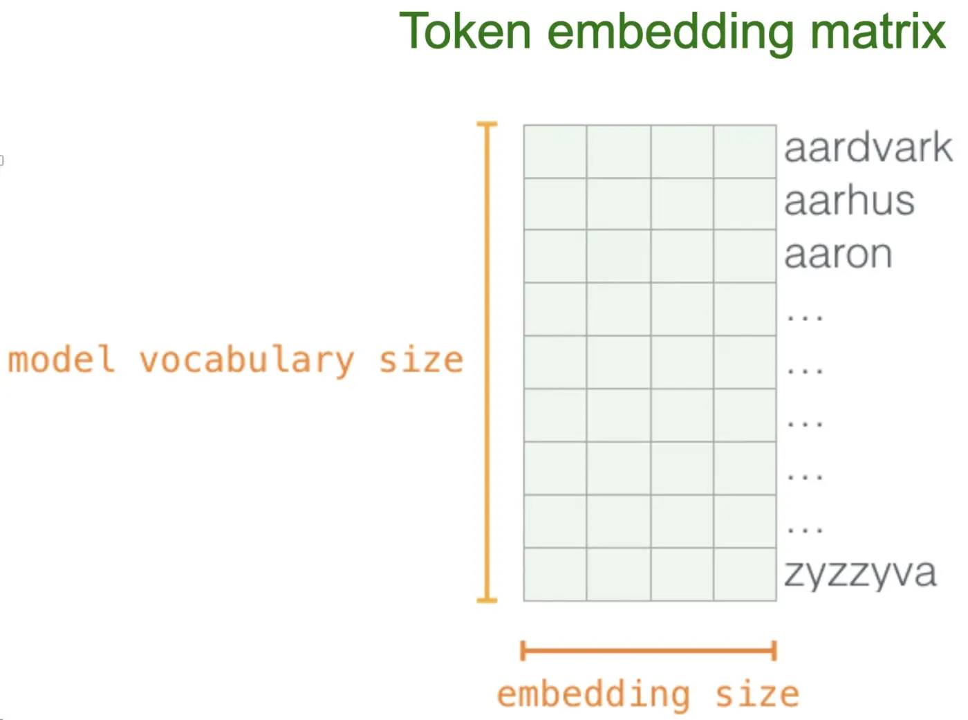 Lookup of a learned embedding for each token